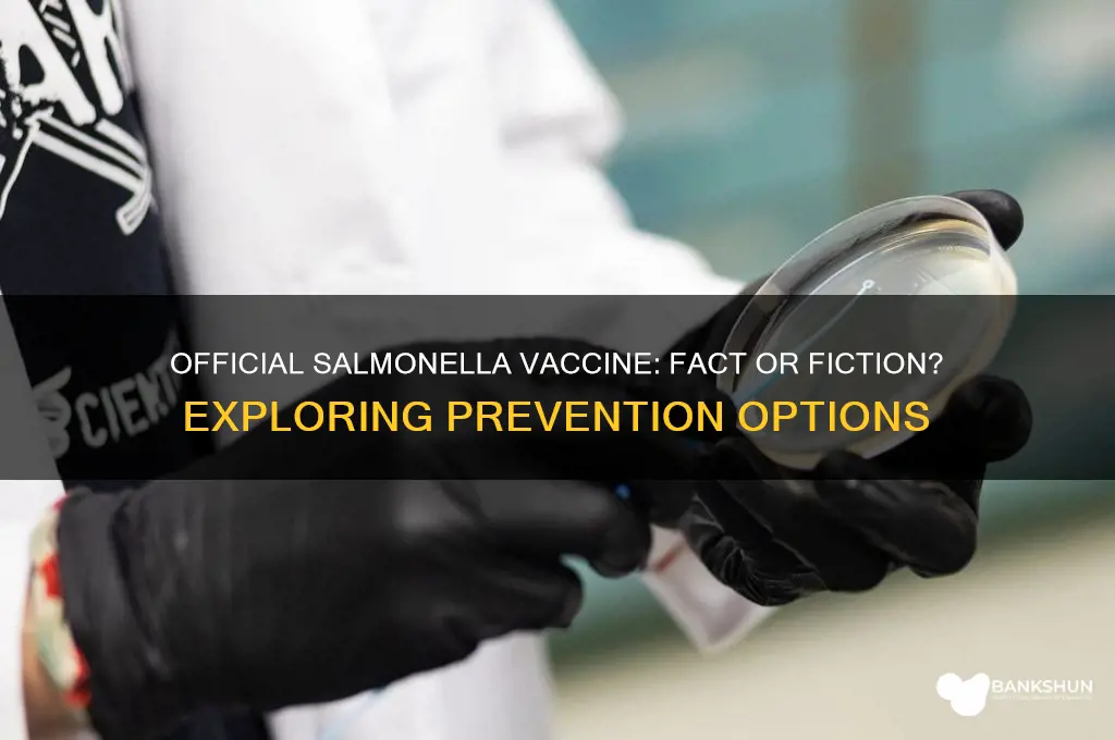is there an official vaccine against salmonella