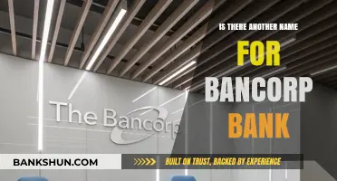 Exploring Bancorp Bank: Alternative Names and Brand Identities Revealed