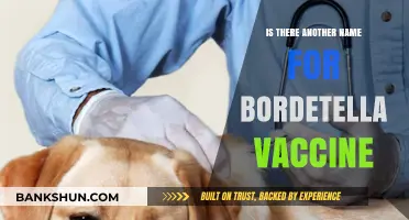 Alternative Names for Bordetella Vaccine: What You Need to Know