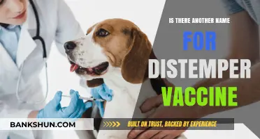 Distemper Vaccine: Alternative Names and Common Terminology Explained