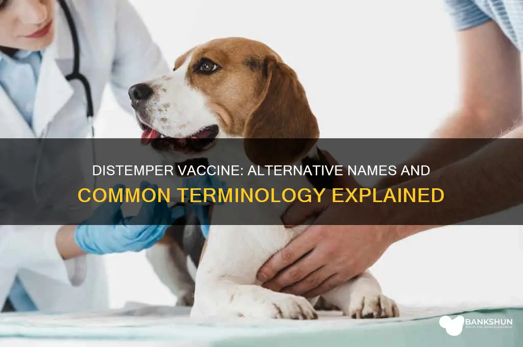 is there another name for distemper vaccine