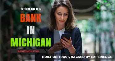 Axis Bank in Michigan: Availability and Services Explained