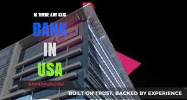 Axis Bank in the USA: Availability and Services Explained