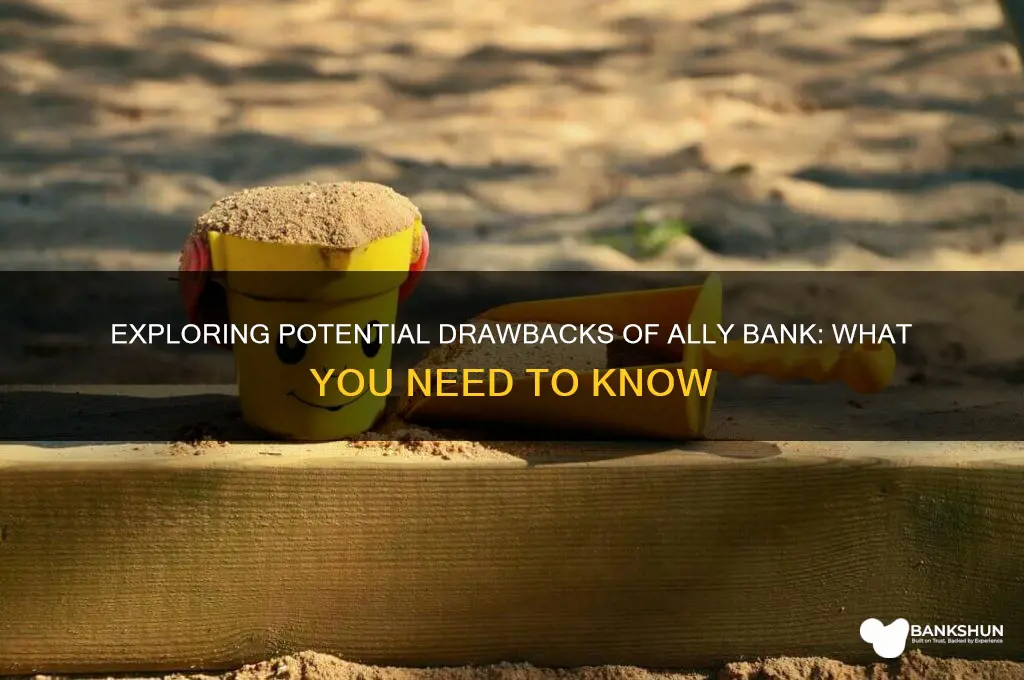 is there any con to ally bank