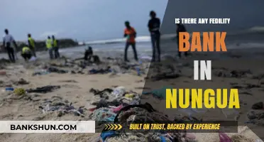 Exploring Fidelity Bank's Presence in Nungua: Fact or Fiction?