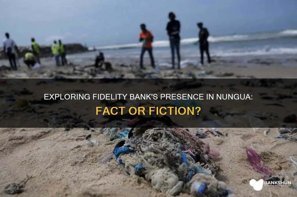 is there any fedility bank in nungua