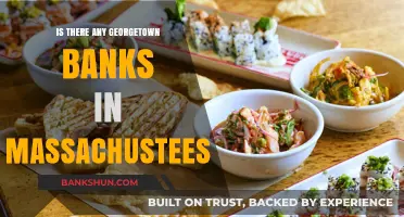 Exploring Georgetown Banks: Are There Any in Massachusetts?