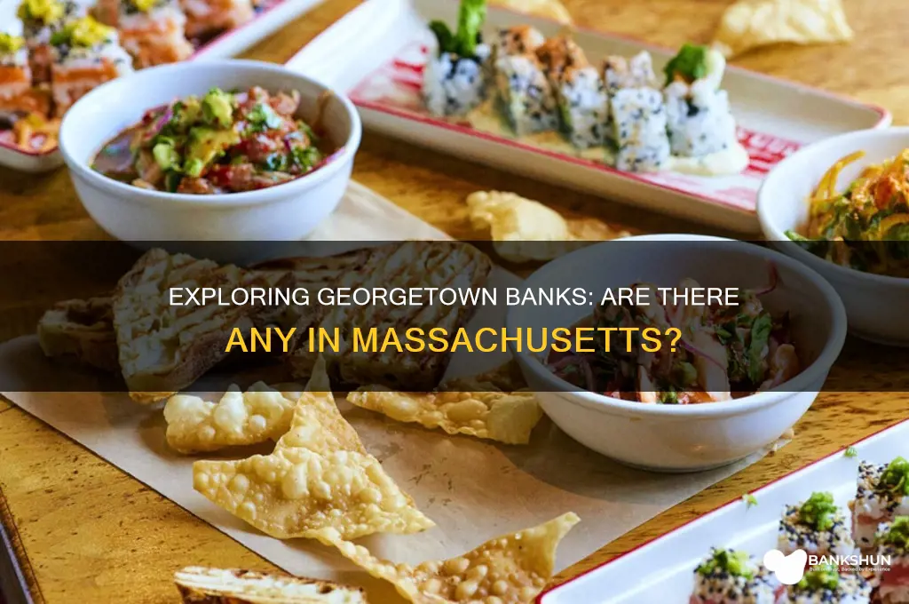 is there any georgetown banks in massachustees