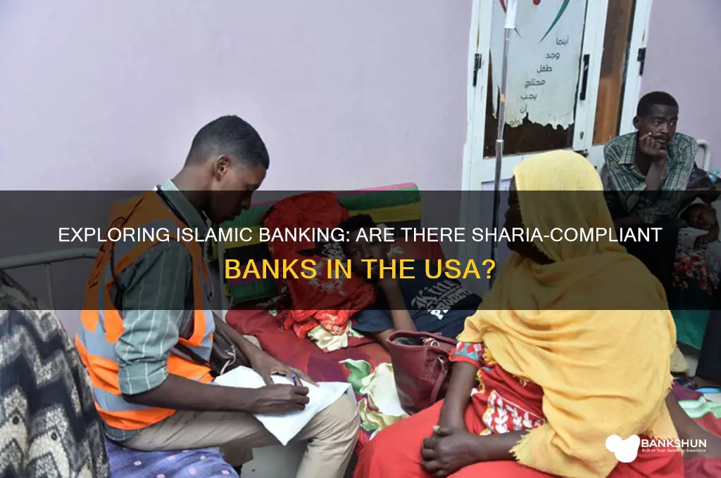 is there any islamic bank in usa