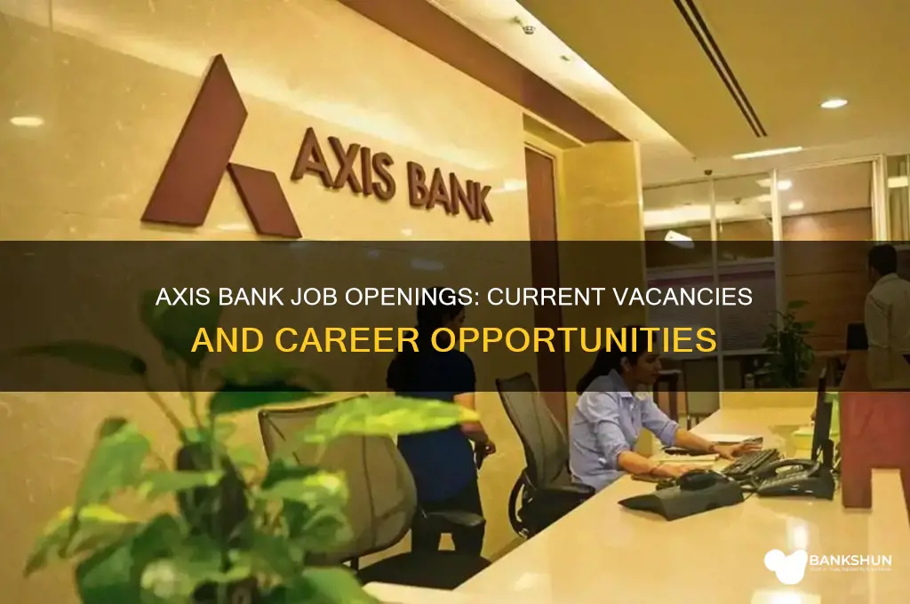 is there any vacancy in axis bank