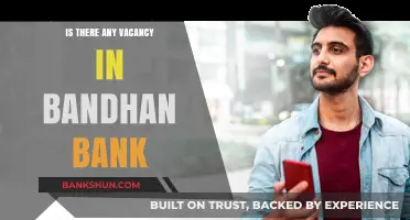 Bandhan Bank Vacancy Updates: Current Job Openings and Opportunities