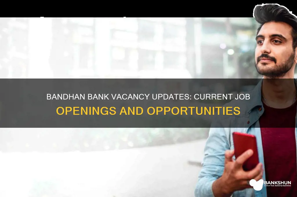 is there any vacancy in bandhan bank