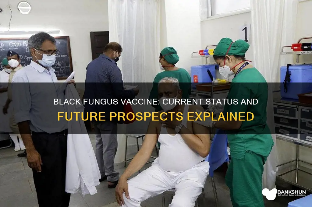 is there any vaccine for black fungus
