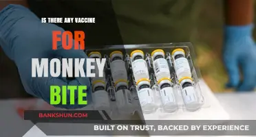 Monkey Bite Vaccines: What You Need to Know for Safety