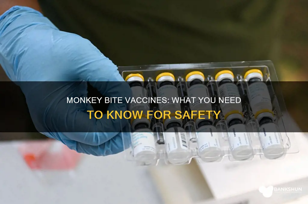 is there any vaccine for monkey bite