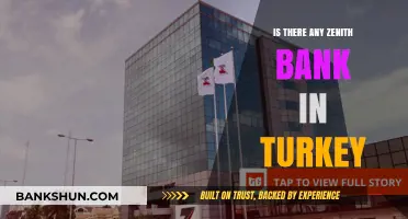 Exploring Zenith Bank's Presence: Is There a Branch in Turkey?