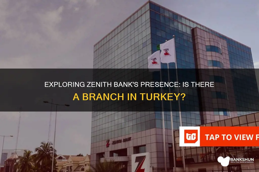 is there any zenith bank in turkey