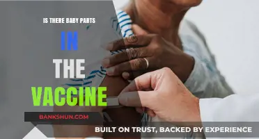 Debunking Myths: Are Baby Parts in Vaccines? The Truth Revealed