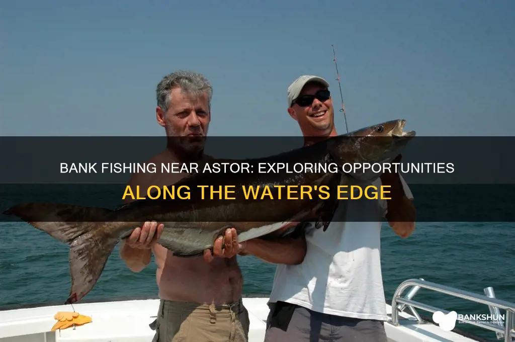 is there bank fishing off the astor