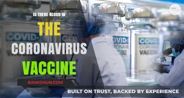 Debunking Myths: Does the Coronavirus Vaccine Contain Blood?