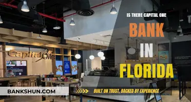 Capital One Bank in Florida: Locations, Services, and Availability Explained