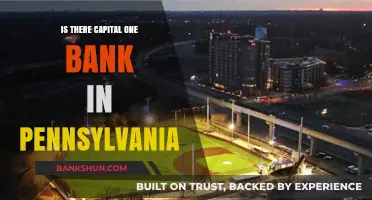 Capital One Bank in Pennsylvania: Locations and Services Explained