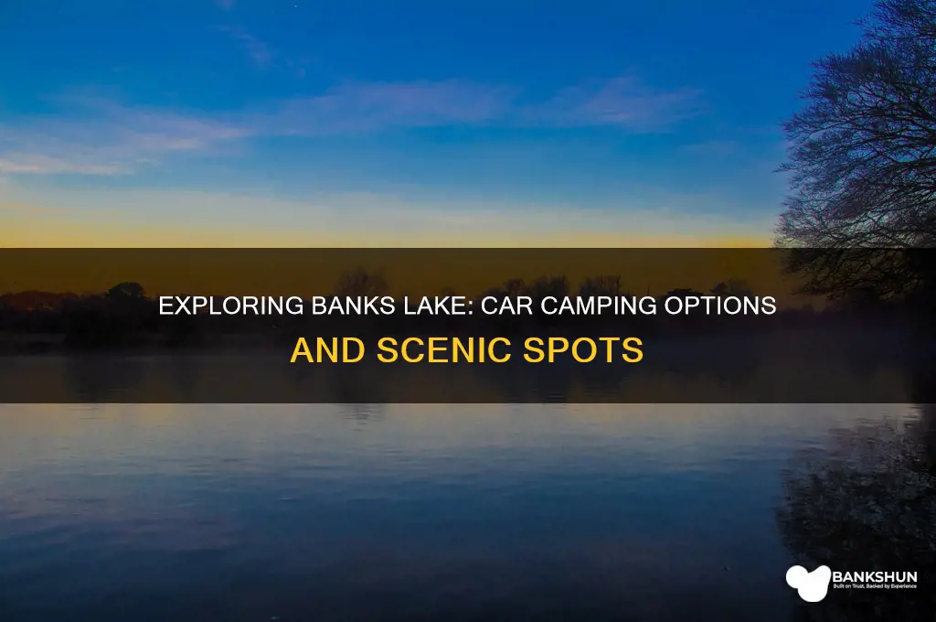 is there car camping along banks lake