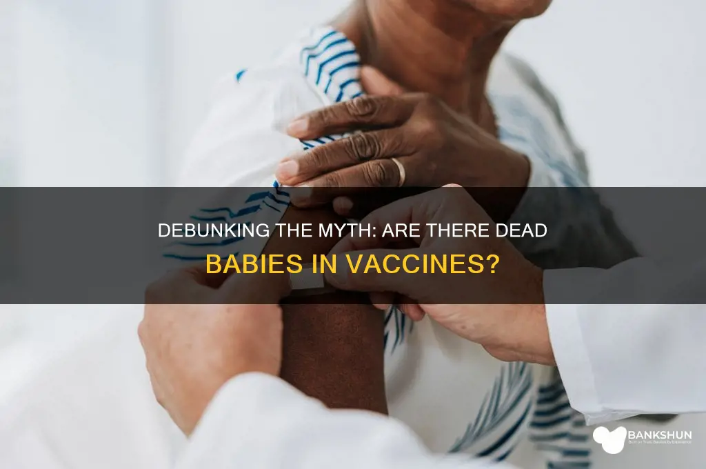 is there dead babies in the vaccine