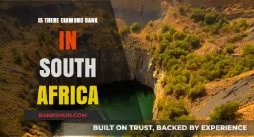 Exploring South Africa's Banking Sector: Is There a Diamond Bank?