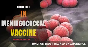 Meningococcal Vaccine and E. Coli: Unraveling the Facts and Fiction