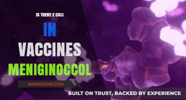 E. Coli in Meningococcal Vaccines: Fact or Fiction?