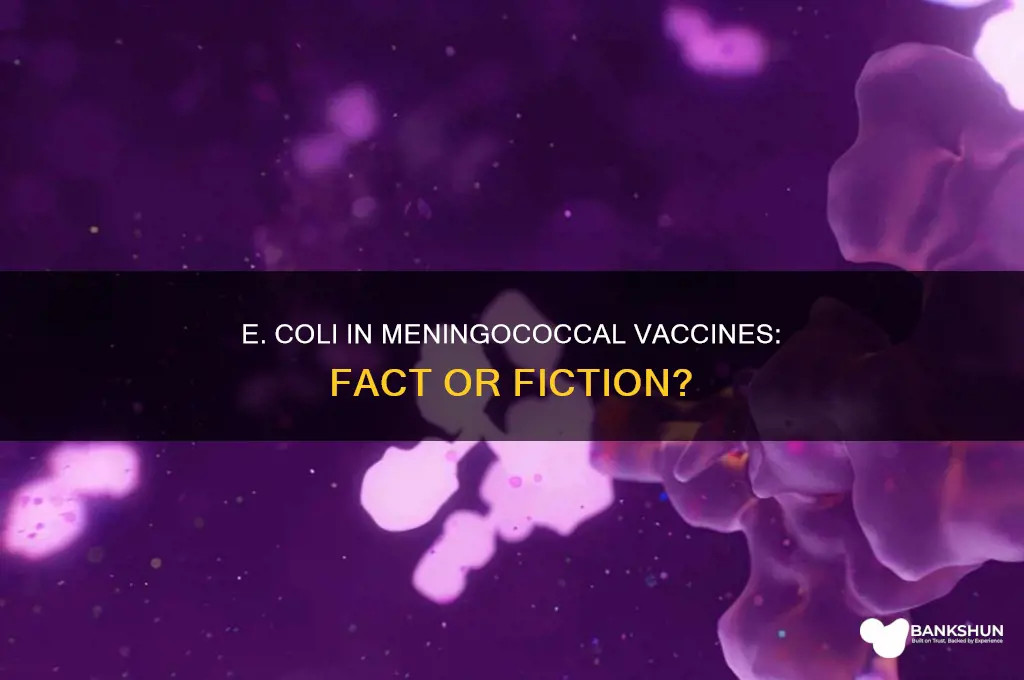 is there e coli in vaccines meniginoccol