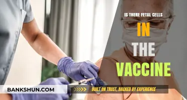 Debunking Myths: Fetal Cells and Vaccines – Separating Fact from Fiction