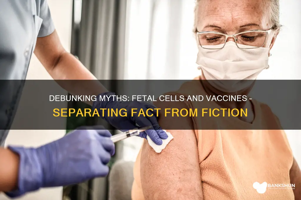 is there fetal cells in the vaccine