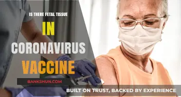 Debunking Myths: Fetal Tissue and the Coronavirus Vaccine Explained