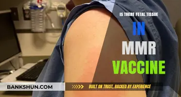 Debunking Myths: Fetal Tissue and the MMR Vaccine Explained