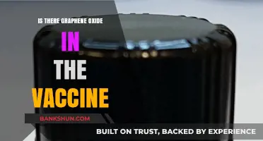 Graphene Oxide in Vaccines: Separating Fact from Fiction and Fear
