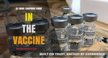 Graphene Oxide in Vaccines: Separating Fact from Fiction