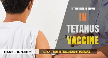Horse Serum in Tetanus Vaccines: Fact or Fiction Explained