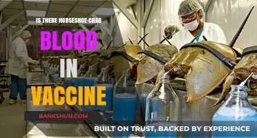Horseshoe Crab Blood in Vaccines: Fact or Fiction?