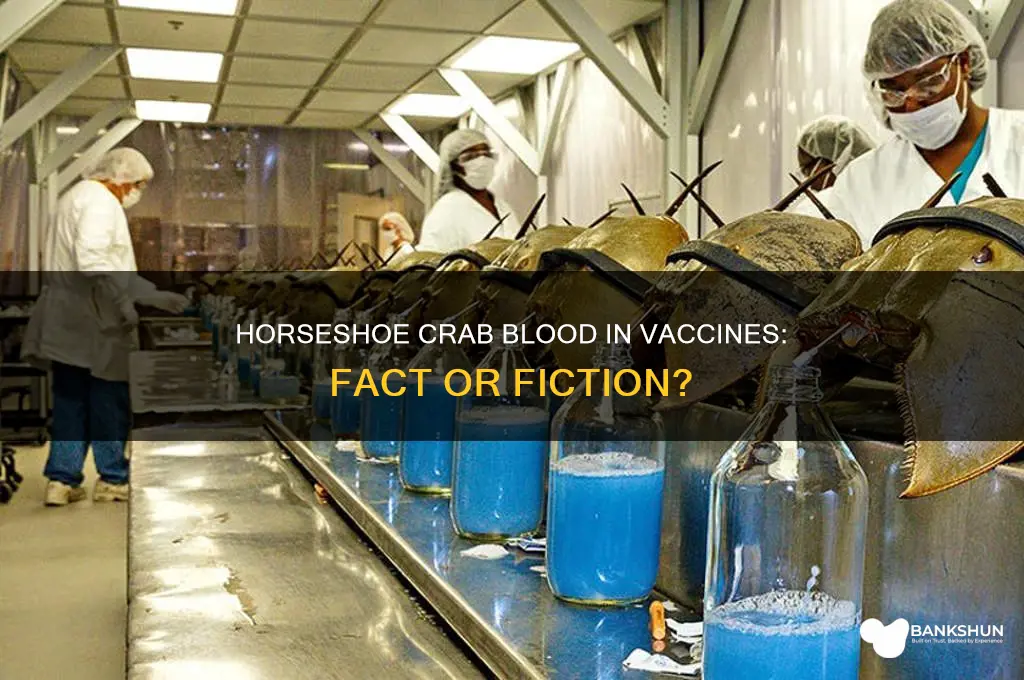 is there horseshoe crab blood in vaccine