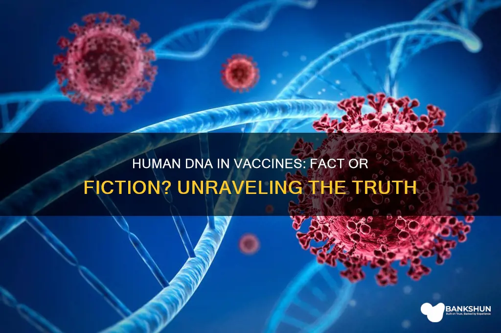 is there human dna in a vaccine