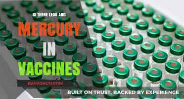 Debunking Myths: Lead and Mercury in Vaccines - Facts Revealed