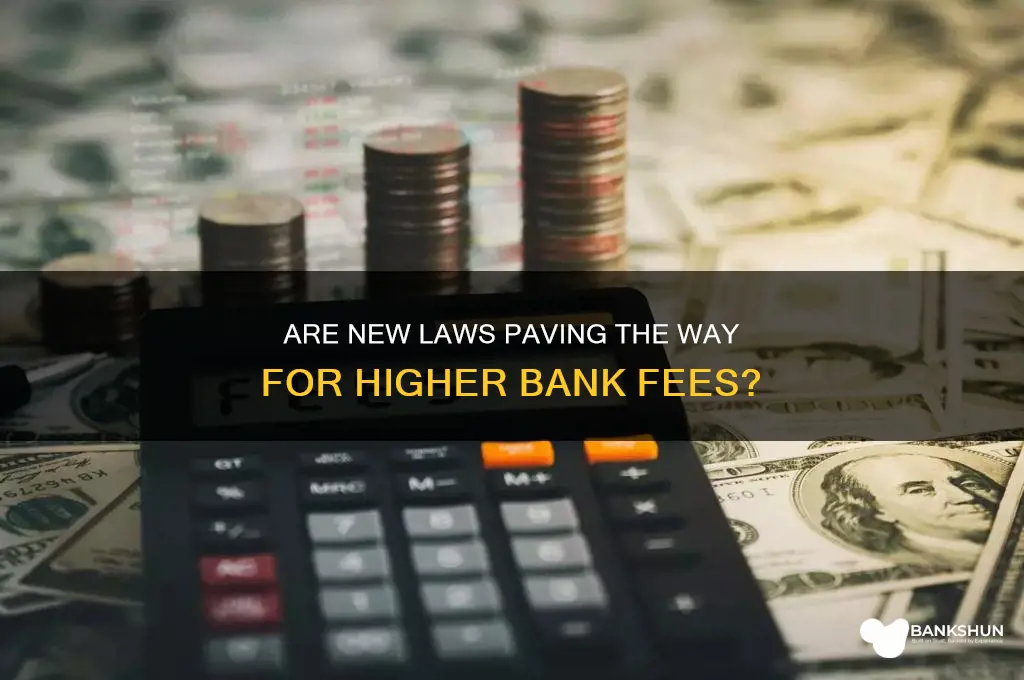 is there legislation to increase bank fees