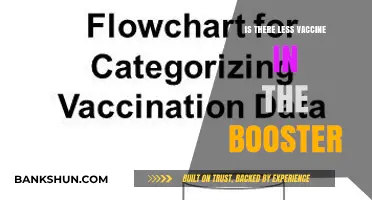 Booster Shot Vaccine Dosage: Is There Really Less in the Jab?