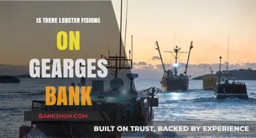 Exploring Lobster Fishing Opportunities on Georges Bank: Facts and Insights