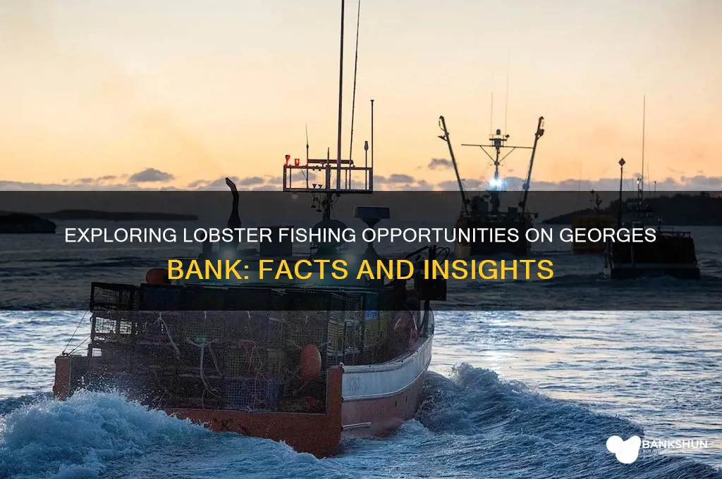 is there lobster fishing on gearges bank
