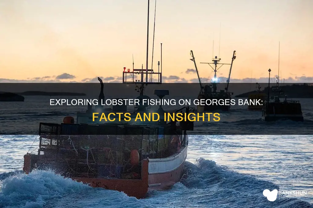 is there lobster fishing on georges bank