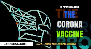 Debunking Myths: Mercury in the Corona Vaccine - Fact or Fiction?