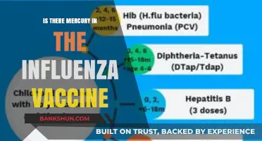 Mercury in Flu Vaccines: Separating Fact from Fiction